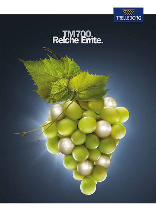 TM700_GER_2019_LR_Cover