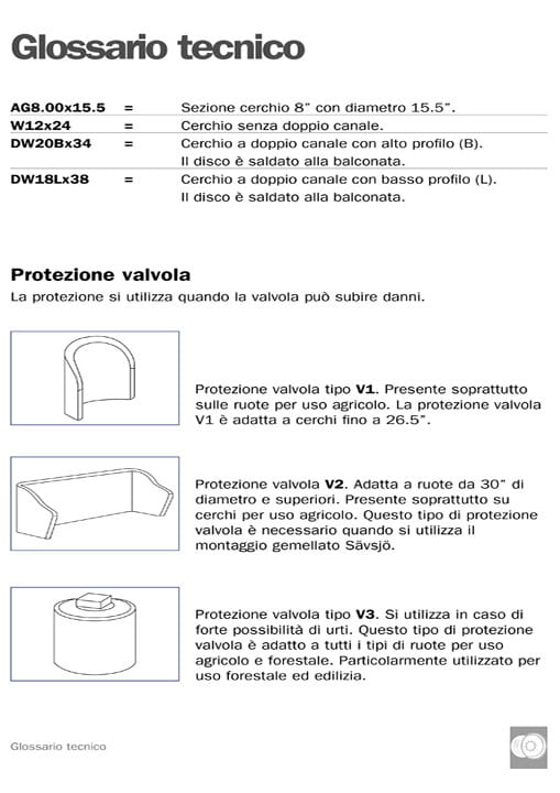 RIM_GlossaryInformation_ITA-1